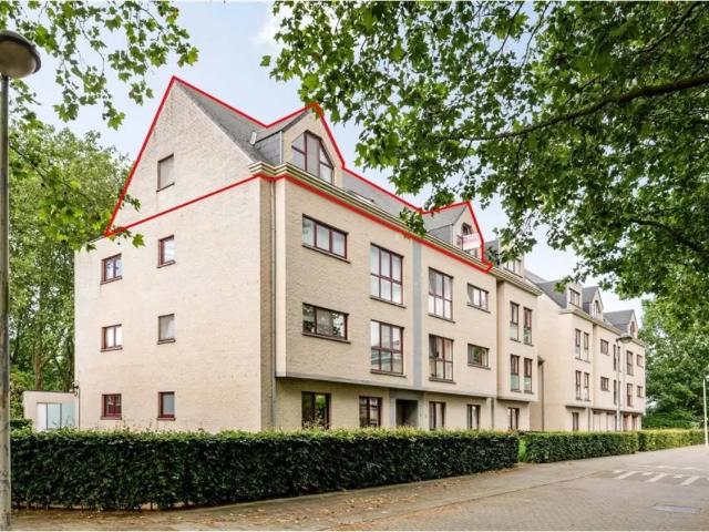 à vendre Penthouse Lier Frankenweg