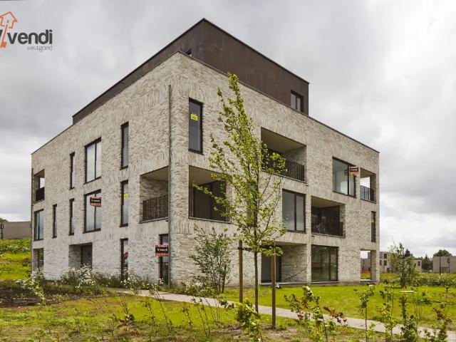 à vendre Penthouse Weelde Molenstraat