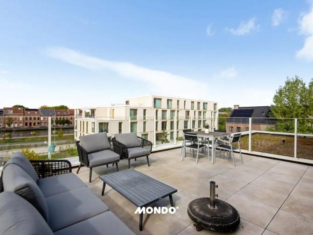 à vendre Penthouse Willebroek Pulpstraat