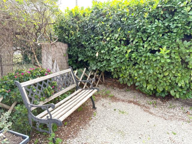 A vendre, Raphèle, deux maisons avec piscine et dépendances
