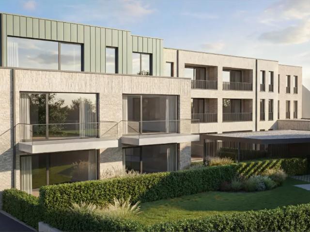 à vendre Rez De Chaussée Berlare Frankrijkstraat