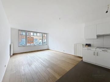 8380, Arrondissement de Bruges, Flandre-Occidentale, Flandre