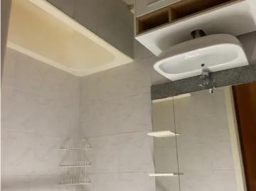 1140, Bruxelles-Capitale - Cave, Terrasse