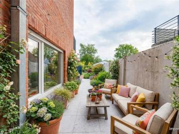 9220, Termonde, Flandre orientale, Flandre