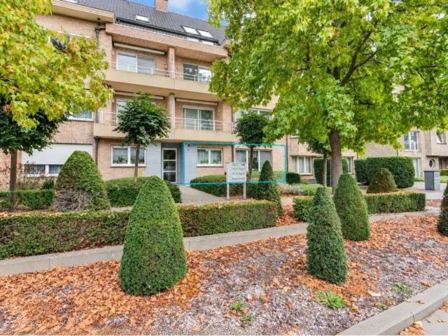 à vendre Rez De Chaussée Herentals De Zaatweg