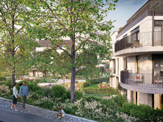 à vendre Rez De Chaussée Namur Rue Henri Lecocq