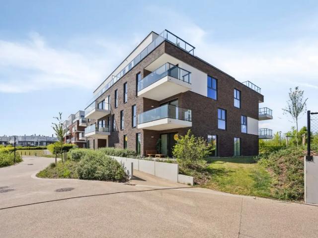 à vendre Rez De Chaussée Renaix Bredestraat