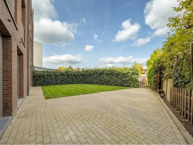à vendre Rez De Chaussée Wommelgem Dasstraat
