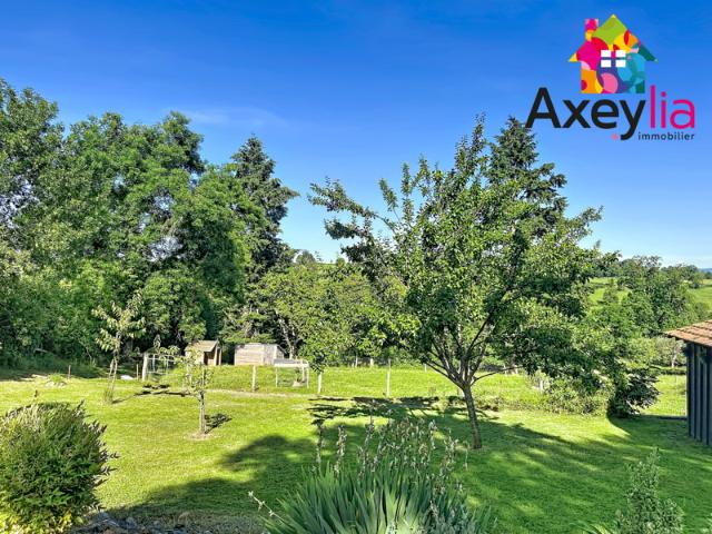A VENDRE SAINT JULIEN DE JONZY MAISON AVEC TERRAIN ET PI