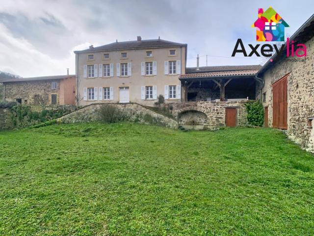 A VENDRE ST JEAN ST MAURICE SUR LOIRE PROPRIÉTÉ DE CARACTÈR