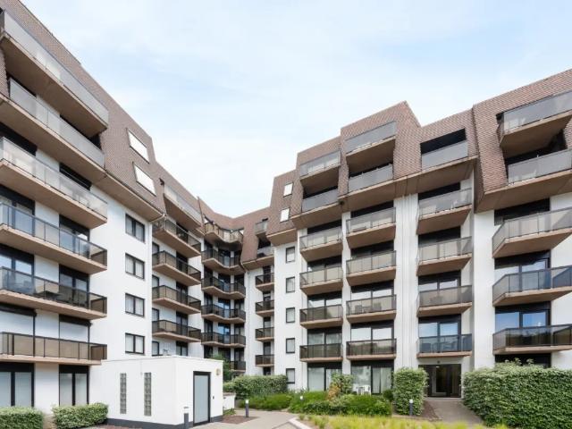 à vendre Studio Coxyde Professor Blanchardlaan