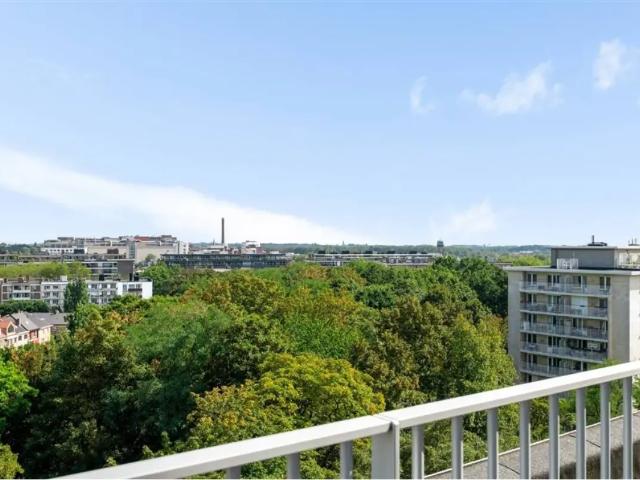 à vendre Studio Berchem Roest d'alkemadelaan