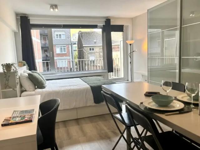 à vendre Studio Liège Rue Saint Martin en Ile
