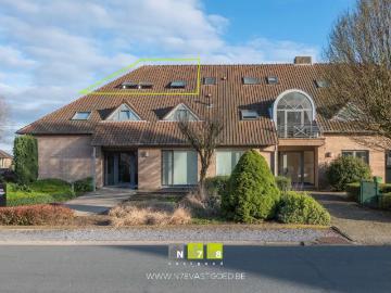 3680, Arrondissement de Maaseik, Limbourg, Flandre, Flandre