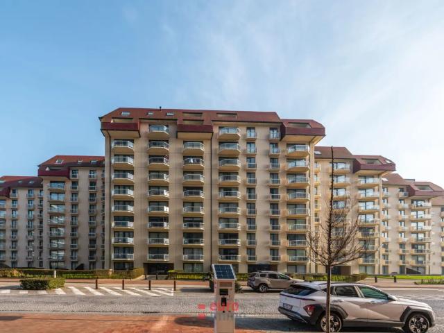 à vendre Studio Nieuwpoort Albert I laan