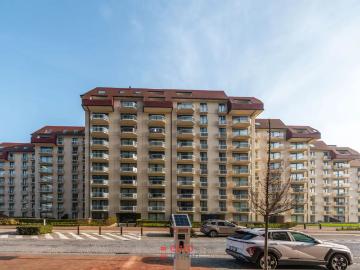 8620, Arrondissement de Furnes, Flandre-Occidentale, Flandre