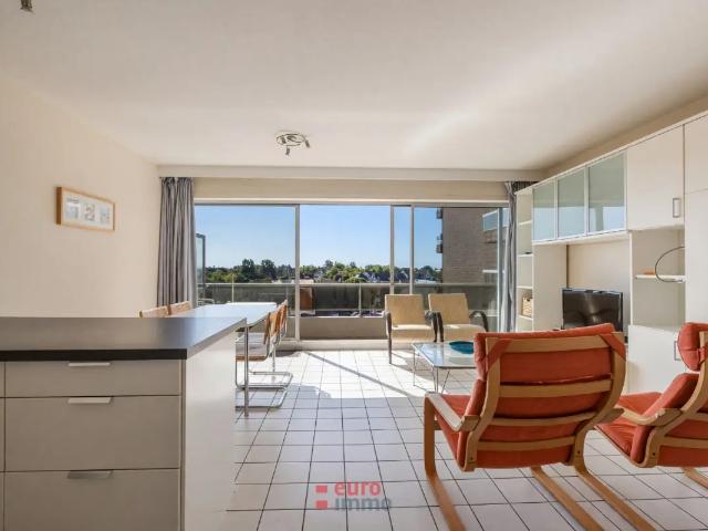 à vendre Studio Nieuwpoort Franslaan