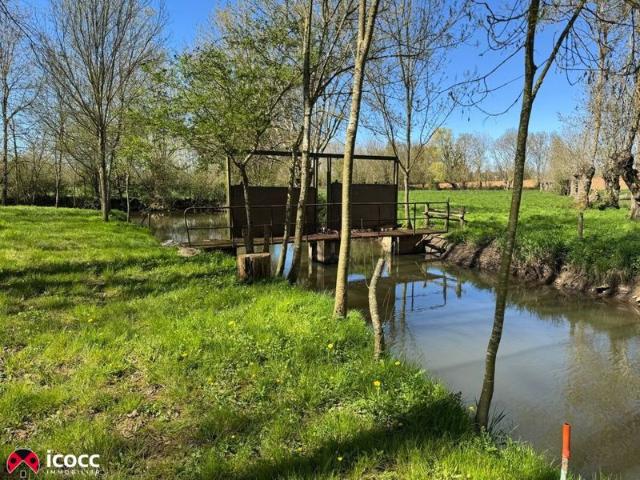 À vendre – Superbe terrain de loisirs boisé de 3 255 m² en bord de rivière