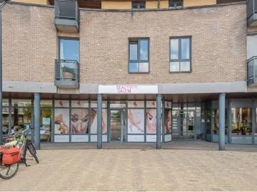 3920, Arrondissement de Maaseik, Limbourg, Flandre, Flandre