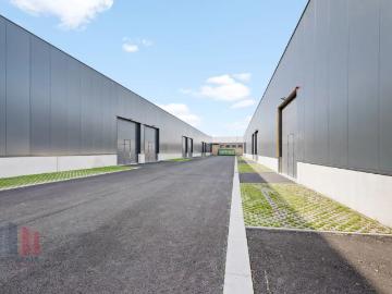 8210, Arrondissement de Bruges, Flandre-Occidentale, Flandre