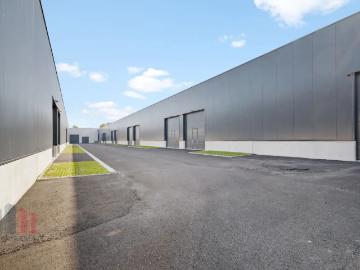 8210, Arrondissement de Bruges, Flandre-Occidentale, Flandre