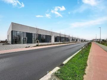8720, Arrondissement de Tielt, Flandre-Occidentale, Flandre