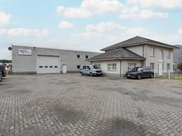 3920, Arrondissement de Maaseik, Limbourg, Flandre, Flandre