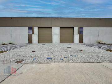 8800, Roeselare, Roulers, Flandre-Occidentale, Flandre