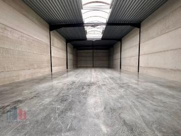 8800, Roeselare, Roulers, Flandre-Occidentale, Flandre