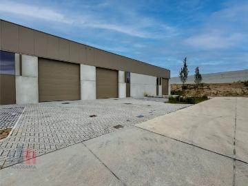 8800, Roeselare, Roulers, Flandre-Occidentale, Flandre