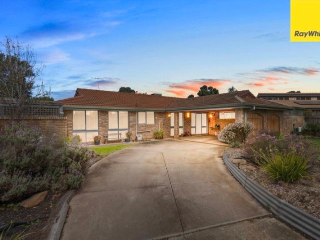 A Versatile Investment Opportunity on 748m² Approx