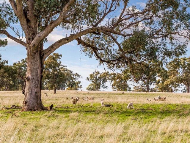 A Versatile Rural Holding with Lifestyle Appeal