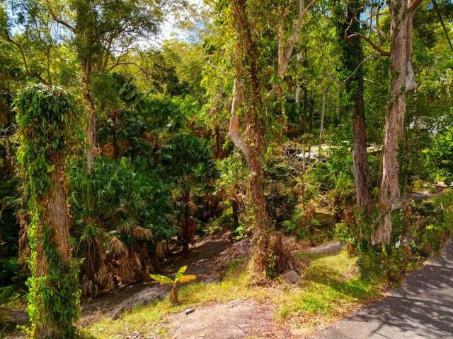A Vibrant Green Setting