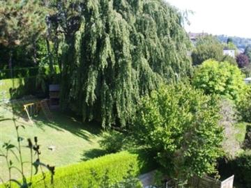 Chemin Du Fau-blanc, Pully, District de Lavaux-Oron, Waadt