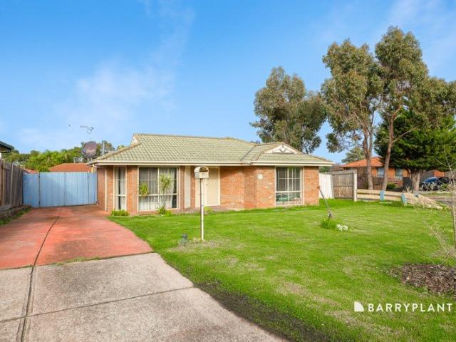 A Welcoming Start or Savvy Investment