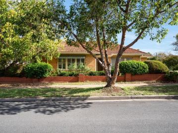 Klemzig, Adelaide, South Australia - Garden