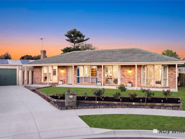 A Well Rounded Layout, Warm Floorboards and Inviting Outdoor Spaces