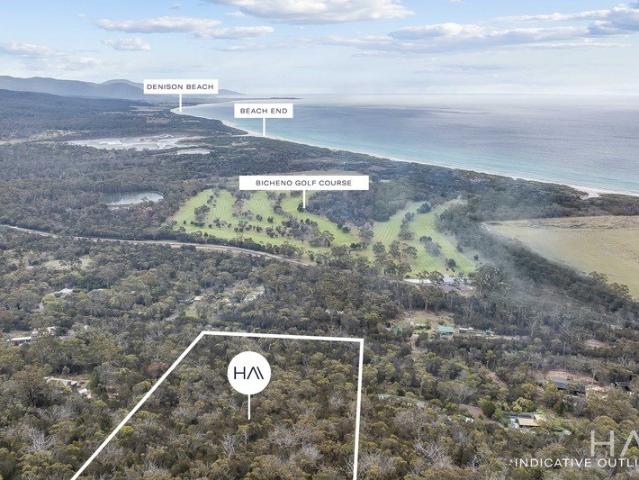 A Wilderness Haven Above the Coastline!
