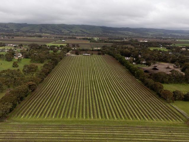 A Wonderful Lifestyle Choice Awaits in Whites Valley