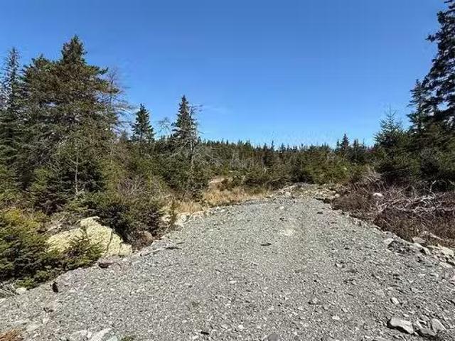 A 16 Hillview Place, South River, NL, A0A 3X0 vacant land fo.