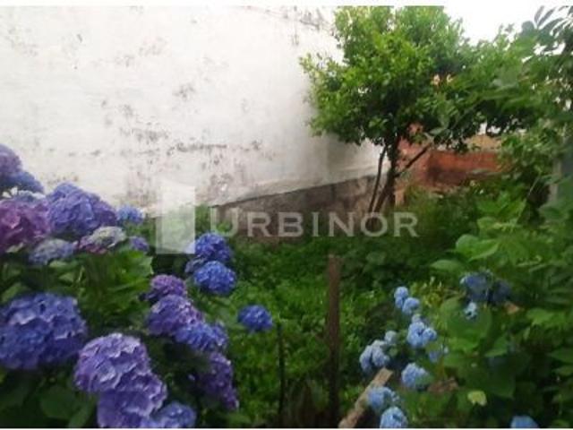 a 1km. del centro de RIBADAVIA, casa con finca