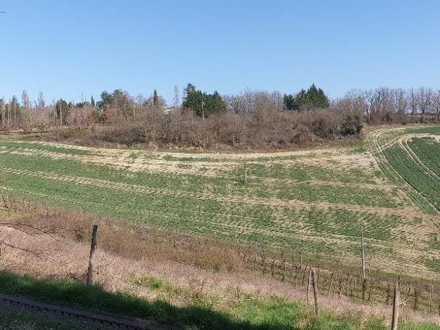A 20km de Moissac, Maison ancienne Quercynoise sur 1ha de te. 130m² Lauzerte