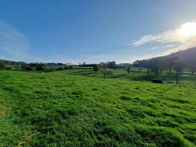 Entre Charolles Et Macon! 232m² Verosvres