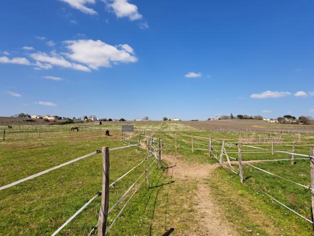 À 5 minutes de Saint Macaire Propriété en pierre avec 4 he