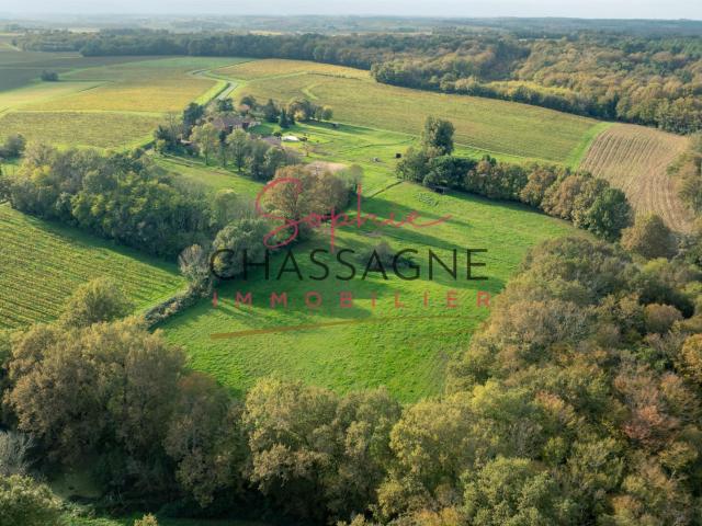 À 5 minutes de Sauveterre de Guyenne Propriété équestre sur. 140m² Sauveterre de Guyenne