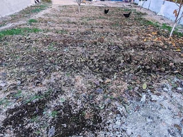 Acıpayam Yumrutaşta Satılık Müstakil Ev Ve Arsası