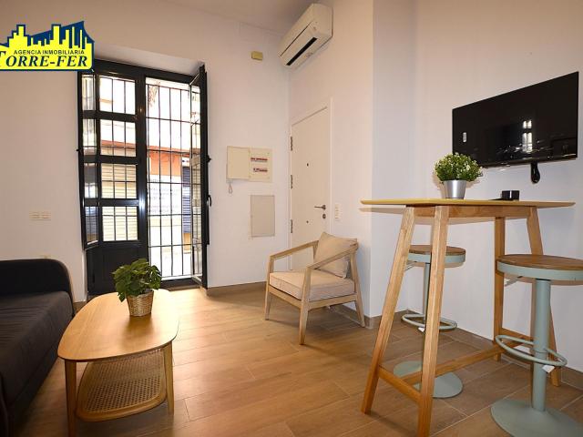 ACOGEDOR Y CENTRICO APARTAMENTO EN ALQUILER