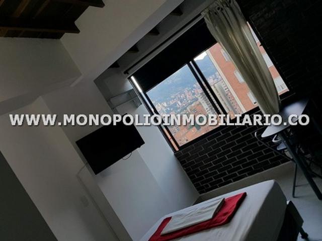Acogedor Apartaestudio Amoblado En Arriendo Sector Los Alpes Cod: 16569