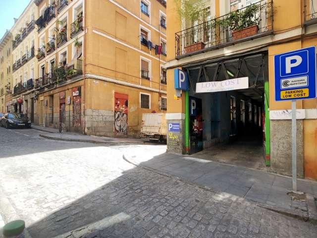 Acogedor apartamento de 1 dormitorio en alquiler en Lavapiés, Madrid