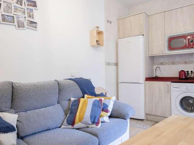 Acogedor apartamento de 1 dormitorio en alquiler en La Latina, Madrid